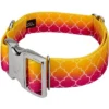 Country Brook Petz HossFit Jr Wide Premium Dog Collar - Abstract Collection 2 Country Brook Petz HossFit Jr Wide Premium Dog Collar - Abstract Collection -Pet Supplies Online GUEST a6b0d1b2 e574 4406 b2b8 02c71c784252