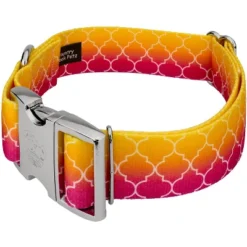 Country Brook Petz HossFit Jr Wide Premium Dog Collar - Abstract Collection