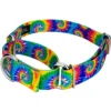 Country Brook Petz Classic Tie Dye Martingale Dog Collar