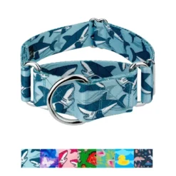 Country Brook Petz HossFit Jr Wide Martingale Dog Collar - Critter Corner Collection 17 Country Brook Petz HossFit Jr Wide Martingale Dog Collar - Critter Corner Collection -Pet Supplies Online GUEST a77a72b1 fe65 4fff 9737 1aa2fdcb2b24