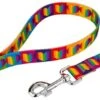 Country Brook Petz® 5/8 Inch Rainbow Hearts Dog Leash - 6 Foot
