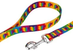 Country Brook Petz® 1 Inch Rainbow Hearts Dog Leash - 6 Foot