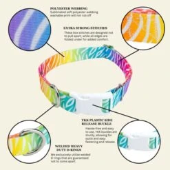 Country Brook Petz Deluxe Fashion Zebra Dog Collar - Made In The U.S.A. (1/2 Inch, Extra Small) -Pet Supplies Online GUEST a87163d6 fa4b 4fce baab 21f1170cefc5