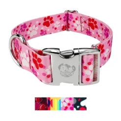 Country Brook Petz HossFit Jr Wide Premium Dog Collar - Affection Collection -Pet Supplies Online GUEST a872da84 2daf 4158 ba67 f4ff91ca2f34