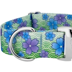 Country Brook Petz HossFit Jr Wide Premium Dog Collar - Spring Collection 14 Country Brook Petz HossFit Jr Wide Premium Dog Collar - Spring Collection -Pet Supplies Online GUEST a8aa3523 5c37 4895 a0c1 3da2f81ccddf