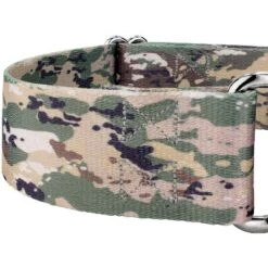 Country Brook Petz 2 Inch Mountain Viper Camo Martingale Dog Collar -Pet Supplies Online GUEST a8bdd16e 46a6 493e b7ed 0b254ffd7ddc