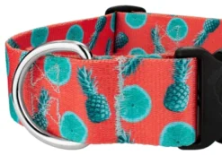 Country Brook Petz 1 1/2 Inch Deluxe Tropical Tango Dog Collar -Pet Supplies Online GUEST a95acd7a d1ad 4b64 a238 24d987277db9