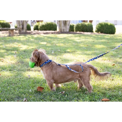 Country Brook Petz Duty Honor Country Martingale Dog Collar (1/2 Inch, 2XS) 4 Country Brook Petz Duty Honor Country Martingale Dog Collar (1/2 Inch, 2XS) - Image 2