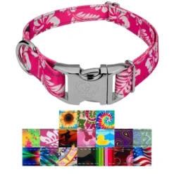 Country Brook Petz Premium Reflective Dog Collar -Pet Supplies Online GUEST a9bf0e8d c303 4db3 b6b5 6fcae48dd93d