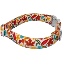 Country Brook Petz Premium Collar And Leash - Awesome Autumn Collection -Pet Supplies Online GUEST aa075f5a 0e8e 421e b2ce 2b88908fbf45 1
