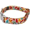 Country Brook Petz Premium Collar And Leash - Awesome Autumn Collection -Pet Supplies Online GUEST aa14e15f a5ea 492d b89b a8a52287fb92 1