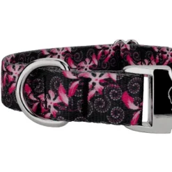 Country Brook Petz Premium Pink Honeysuckle Breeze Dog Collar -Pet Supplies Online GUEST aa59f5e8 ec30 4986 b0dc 0b9db83d4331