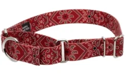 Country Brook Petz Red Bandana Martingale Dog Collar -Pet Supplies Online GUEST aa791ece edc4 4b23 bd4f b07863998844
