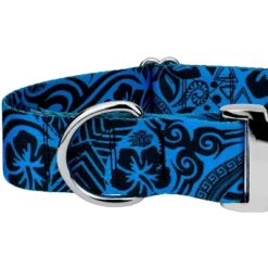 Country Brook Petz HossFit Jr Wide Premium Dog Collar - Attitude Collection -Pet Supplies Online GUEST aa823f01 b122 486c a710 8a7fc680f0cc