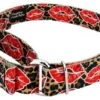 Country Brook Petz Cheetah Kisses Martingale Dog Collar -Pet Supplies Online GUEST aa952973 786e 44e9 89cd df74f72e3209