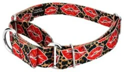 Country Brook Petz Cheetah Kisses Martingale Dog Collar