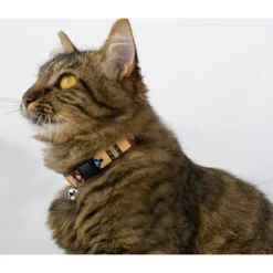 Country Brook Petz Native Arizona Cat Collar -Pet Supplies Online GUEST aaacc907 85a2 453b 8b73 5258dc6c6ee0