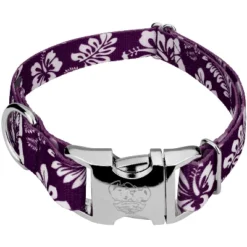 Country Brook Petz Premium Purple Hawaiian Dog Collar -Pet Supplies Online GUEST aac46e8c b987 4fb4 9b24 d230cdd0ae2a
