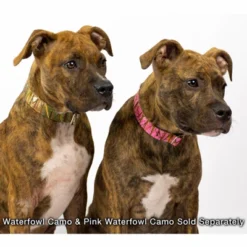Country Brook Petz Premium Pink Waterfowl Camo Dog Collar -Pet Supplies Online GUEST ab013fcd 8641 4dbb 96a6 c753f1fa697e 1