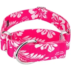Country Brook Petz 1 1/2 Inch Pink Hawaiian Martingale Dog Collar 19 Country Brook Petz 1 1/2 Inch Pink Hawaiian Martingale Dog Collar -Pet Supplies Online GUEST ab3d642f cd3e 4ad6 9a83 63f2d1eb34b7