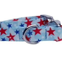 Country Brook Petz Premium Dog Collar - Americana Collection -Pet Supplies Online GUEST abd6b9fb 8bbb 4d6d 83f2 52144fea63f4