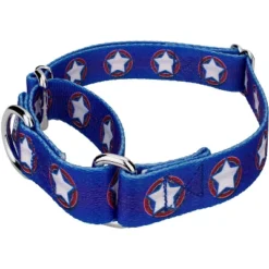 Country Brook Petz - American Stars Martingale Dog Collar