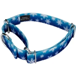 Country Brook Petz Winter Wonderland Martingale Dog Collar