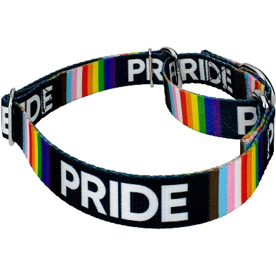 Country Brook Petz Pride Martingale Dog Collar 4 Country Brook Petz Pride Martingale Dog Collar - Image 2