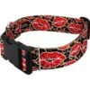 Country Brook Petz HossFit Jr Wide Deluxe Dog Collar - Affection Collection