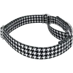 Country Brook Petz Martingale Collar And Leash - Sports And Athletics Collection -Pet Supplies Online GUEST adbfb5d6 f82e 4759 9d29 0766e268c4c8 1