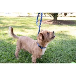 Country Brook Petz Deluxe Duty Honor Country Dog Collar - Made In The U.S.A. (5/8 Inch, Small)