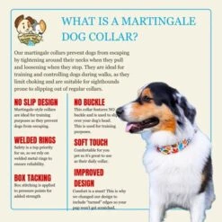 Country Brook Petz HossFit Jr Wide Martingale Dog Collar - Awesome Autumn Collection -Pet Supplies Online GUEST ae3b06c5 4aca 428a ab30 8e472143a4e3