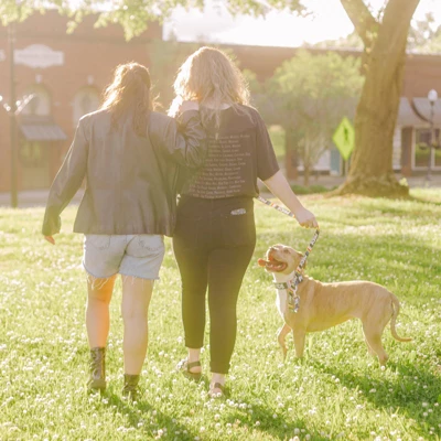 Country Brook Petz 1 1/2 Inch Pride Martingale Dog Collar 4 Country Brook Petz 1 1/2 Inch Pride Martingale Dog Collar - Image 2