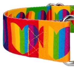 Country Brook Petz 1 1/2 Inch Rainbow Hearts Martingale Dog Collar -Pet Supplies Online GUEST aea18a92 7d8d 421a 9682 989da31b0a83