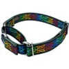 Country Brook Petz Celtic Pride Martingale Dog Collar And Leash 2 Country Brook Petz Celtic Pride Martingale Dog Collar And Leash -Pet Supplies Online GUEST aea7335e db58 43d4 9ca2 079fff6b5600