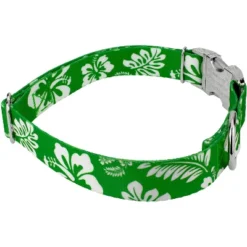 Country Brook Petz Premium Kelly Green Hawaiian Dog Collar -Pet Supplies Online GUEST af014088 063a 42a5 a5ed 01aec0caeec8