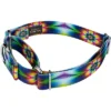 Country Brook Petz Tie Dye Flowers Martingale Dog Collar -Pet Supplies Online GUEST af094405 bb33 43cb 9853 cb11a8ae29b2 1