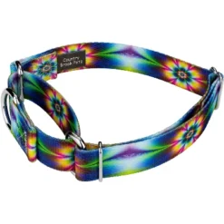 Country Brook Petz Tie Dye Flowers Martingale Dog Collar And Leash -Pet Supplies Online GUEST af094405 bb33 43cb 9853 cb11a8ae29b2