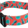 Country Brook Petz 1 1/2 Inch Deluxe Tropical Tango Dog Collar 1 Country Brook Petz 1 1/2 Inch Deluxe Tropical Tango Dog Collar -Pet Supplies Online GUEST af3b35be 850d 487b b943 1bc81753301d