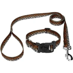 Country Brook Petz Deluxe Bengal Tiger Stripes Dog Collar And Leash -Pet Supplies Online GUEST af88fc7d dc25 4fd8 b9ba 1ed0c1b8fc49