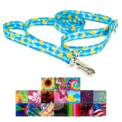 Country Brook Petz Deluxe Reflective Dog Leash 6 Foot Length -Pet Supplies Online GUEST b0ed9826 091e 4346 975f b64ba47e89ff