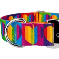Country Brook Petz 1 1/2 Inch Premium Rainbow Hearts Dog Collar -Pet Supplies Online GUEST b148efbc a606 4121 a190 c3c727d60a0e