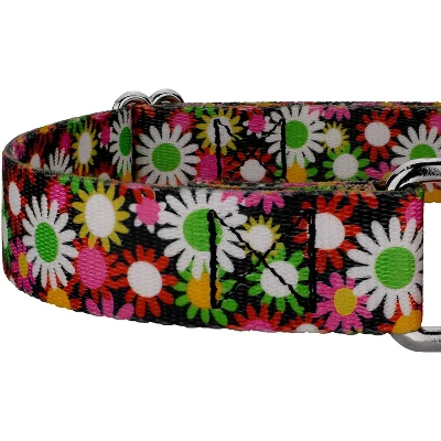 Country Brook Petz Daisy Fields Martingale Dog Collar 8 Country Brook Petz Daisy Fields Martingale Dog Collar - Image 6