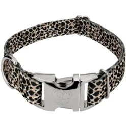 Country Brook Petz Premium Cheetah Dog Collar -Pet Supplies Online GUEST b1dbdbd9 5471 483a a542 29a578032797