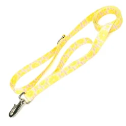 Country Brook Petz 6 Foot Dog Leash - Tasty Collection -Pet Supplies Online GUEST b1e20167 e0cc 4dab a981 f1390aa920d8