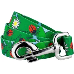 Country Brook Petz 4 Foot Dog Leash - Summer Breeze Collection