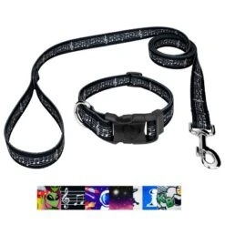 Country Brook Petz Deluxe Dog Collar And Leash - Geek Chic Collection -Pet Supplies Online GUEST b26c2fcb d369 4a96 9b81 fff606d0dd6e