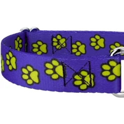 Country Brook Petz Blue Busy Paws Martingale Dog Collar And Leash Limited Edition -Pet Supplies Online GUEST b2ffeab9 133c 4a1d 820c 9b3bed1ba895