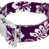 Country Brook Petz 1 1/2 Inch Premium Purple Hawaiian Dog Collar