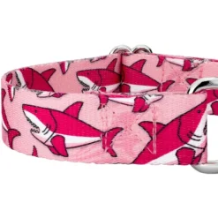 Country Brook Petz Pink Sharks Martingale Dog Collar And Leash -Pet Supplies Online GUEST b35c3f01 921e 4622 bc60 1f68e7e27d97